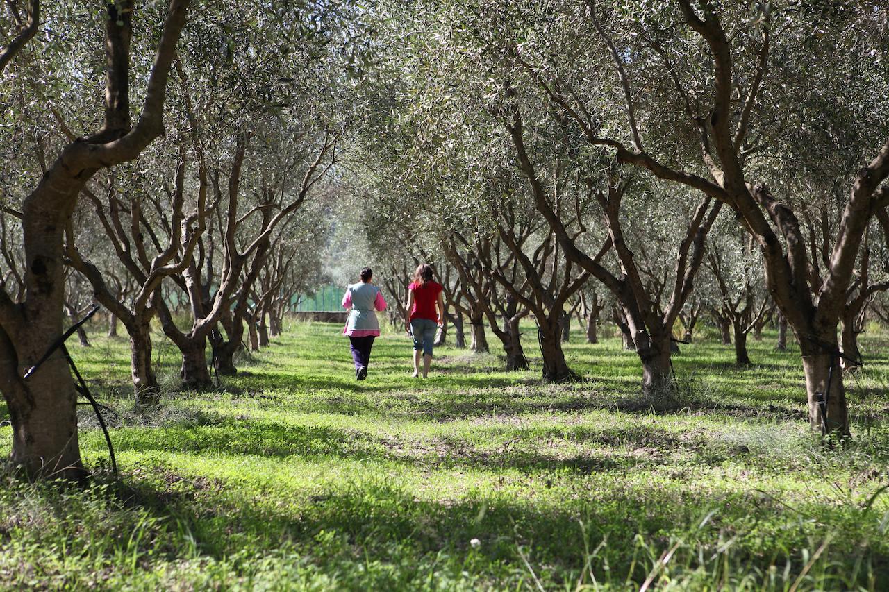 Ciminà Agriturismo A'Sena-Runcatini מראה חיצוני תמונה